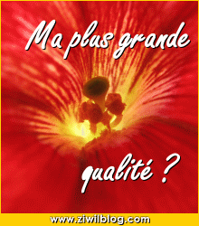 MES QUALITES